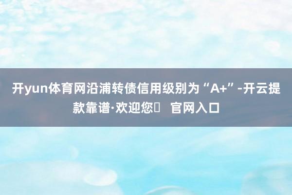 开yun体育网沿浦转债信用级别为“A+”-开云提款靠谱·欢迎您✅ 官网入口