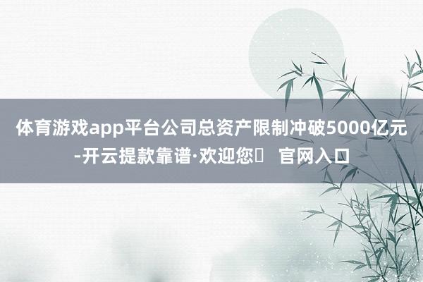 体育游戏app平台公司总资产限制冲破5000亿元-开云提款靠谱·欢迎您✅ 官网入口